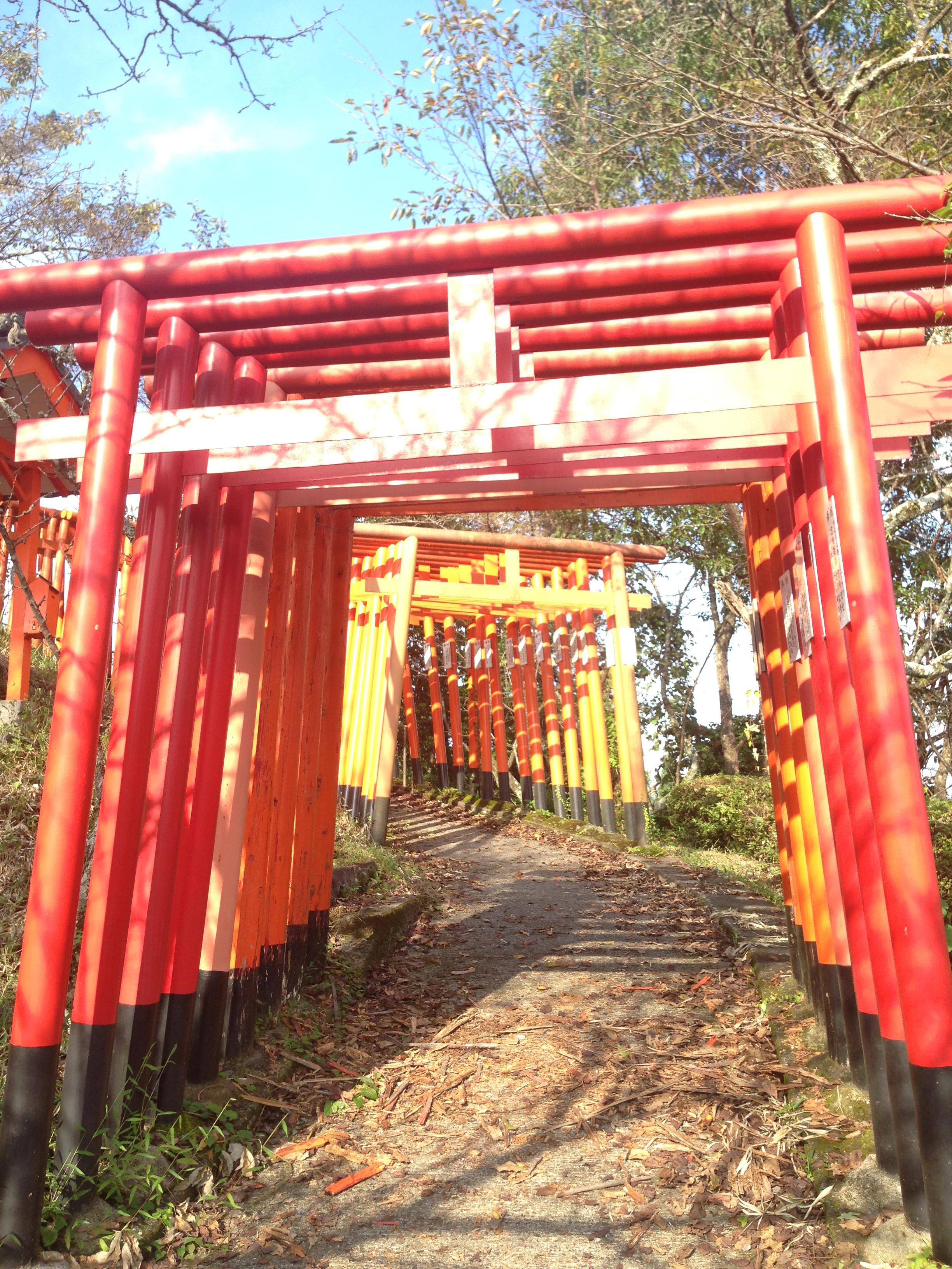 【イベント】扇森稲荷神社で開催された秋季大祭に行ってきました！【竹田市】